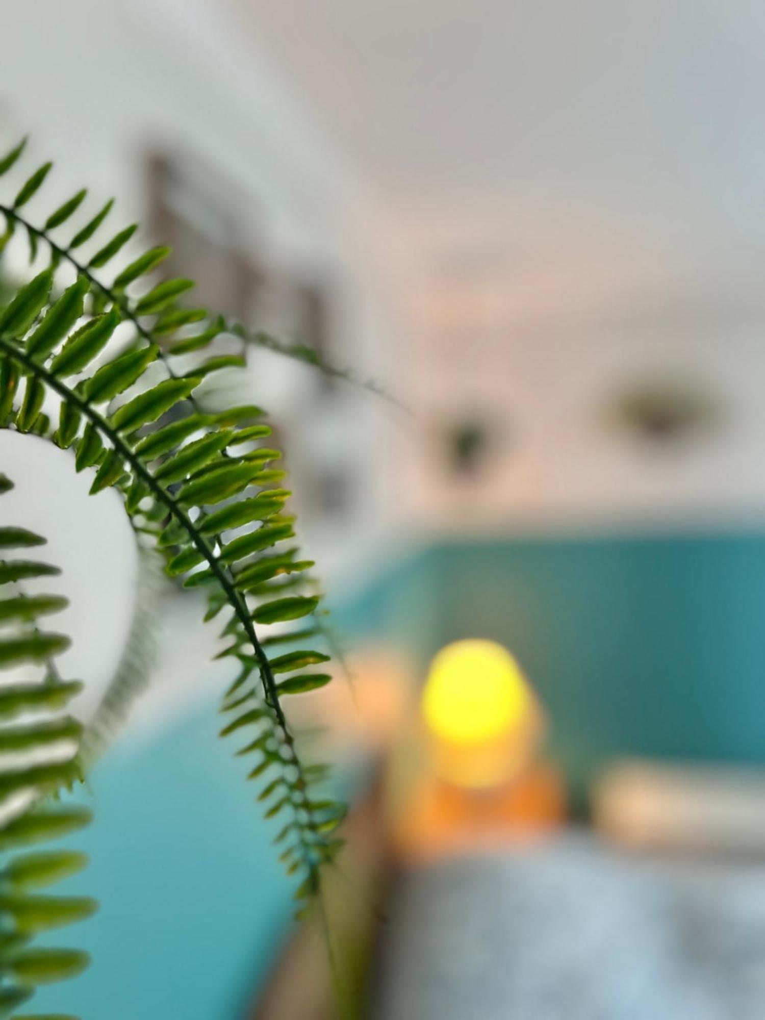 Bed & Cafe Petit Papillon Bed & Breakfast Grandes-Bergeronnes Luaran gambar